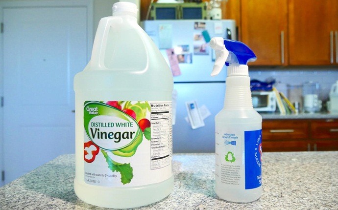 treatment for scalds - vinegar