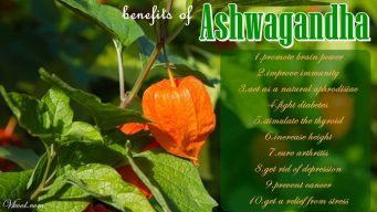 health benefits of ashwagandha