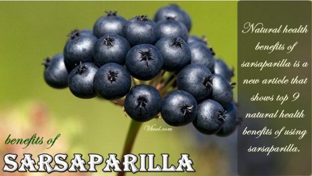 Top 9 Natural Health Benefits Of Sarsaparilla