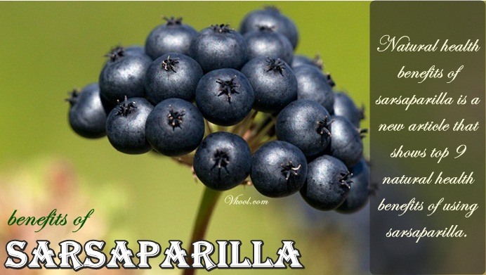 health benefits of sarsaparilla