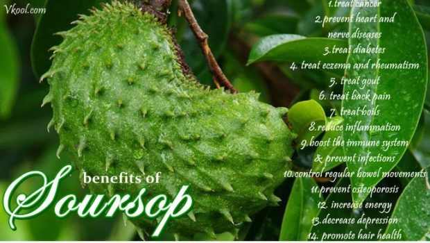 health benefits of soursop