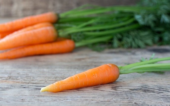 how to get rid of eczema scars - carrots