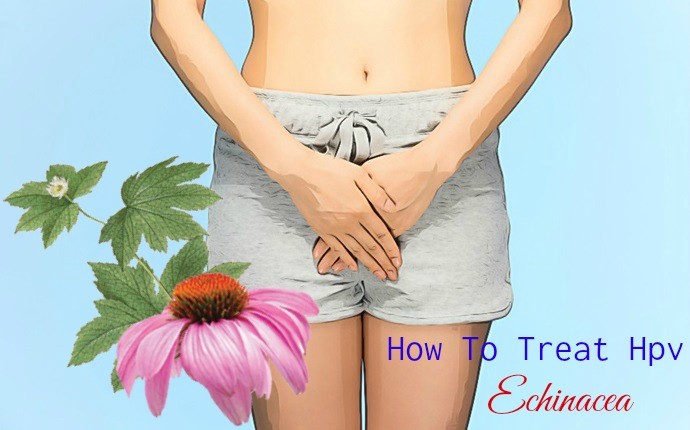 how to treat hpv - echinacea