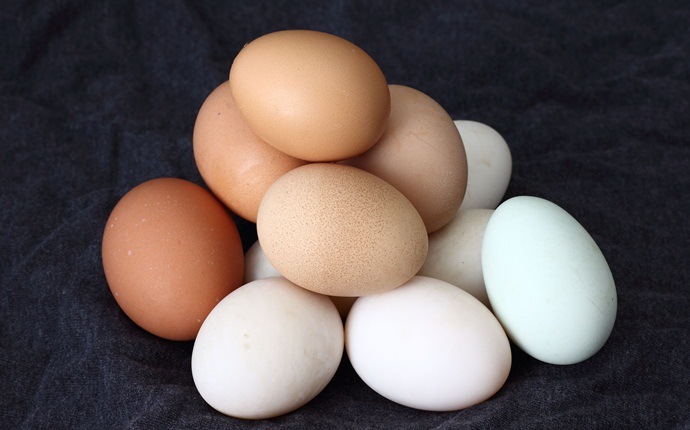 how to increase muscle strength - eggs