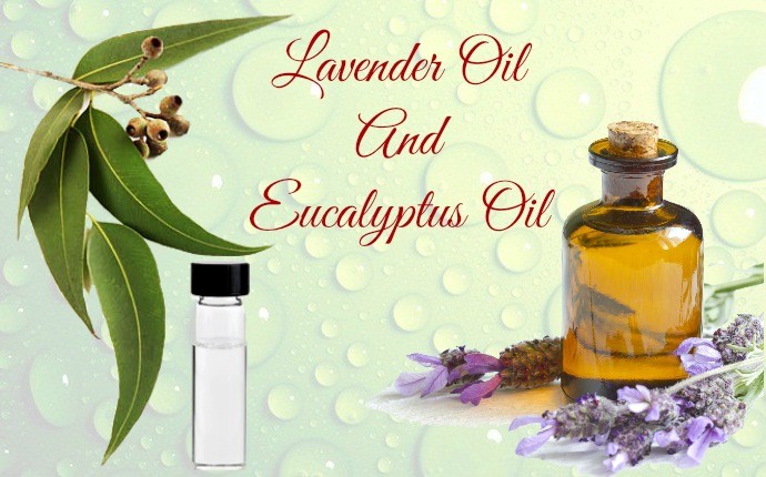 lavender oil and eucalyptus oil