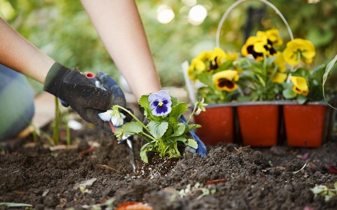 how to get rid of boredom - plant a garden
