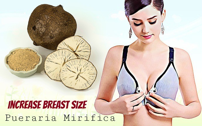 home remedies to increase breast size - pueraria mirifica