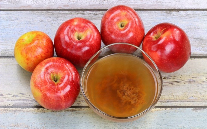apple cider vinegar for sore throat - raw apple cider vinegar