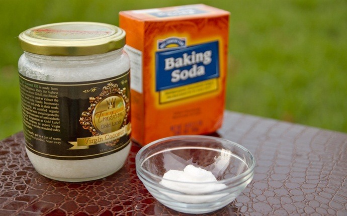 natural treatments to get rid of bed bugs - baking soda