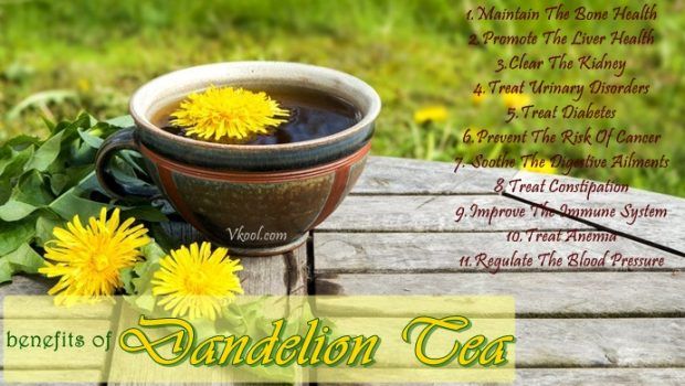 health benefits of dandelion tea