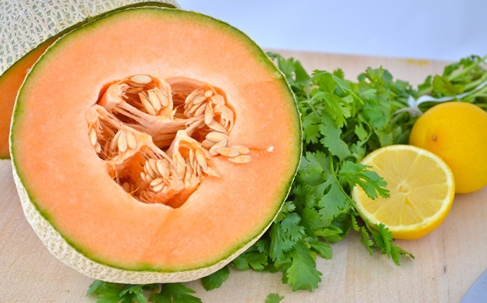 fruits with high water content - cantaloupe
