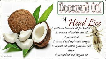 how to use coconut oil for head lice