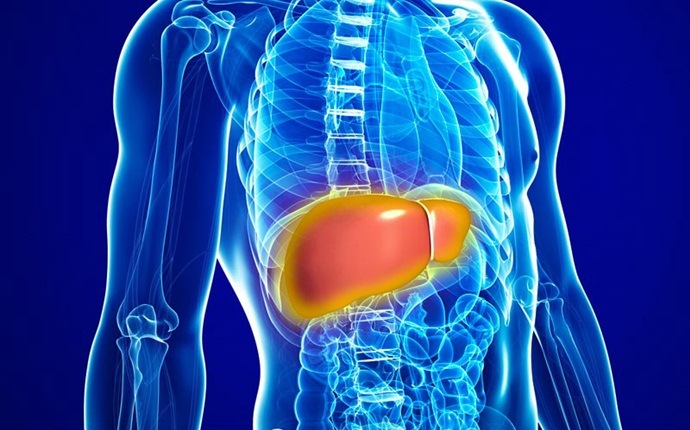 effects of obesity - fatty liver disease