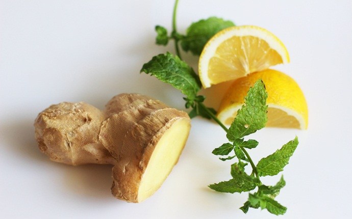 detox water recipes - lemon ginger detox drink
