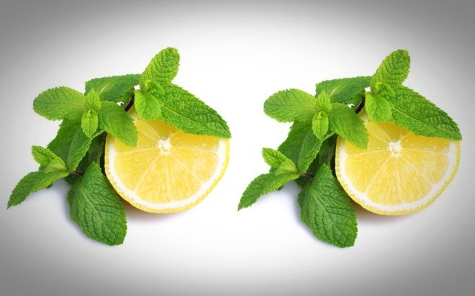 detox water recipes - mint and lemon detox water