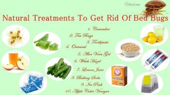 natural treatments to get rid of bed bugs bites