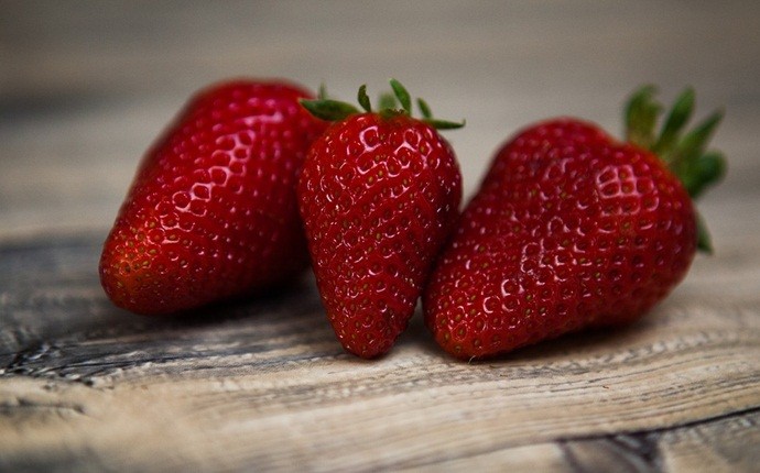 fruits with high water content - strawberries