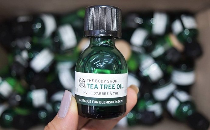 scalp acne treatment - tea tree oil