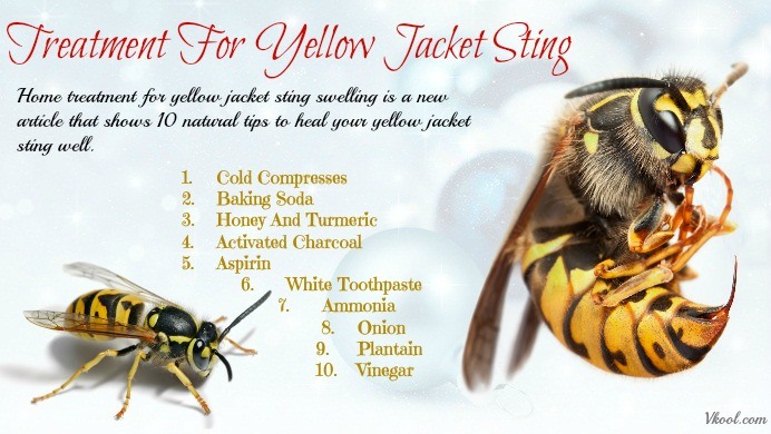 home treatment for yellow jacket sting