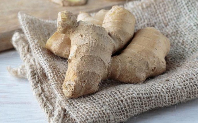 home remedies for lung congestion - use ginger