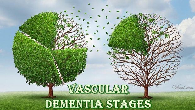 vascular dementia