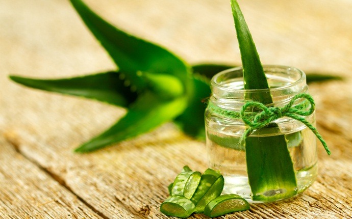 natural remedies for anti-aging skin - aloe vera