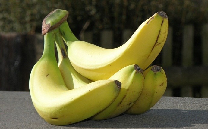 natural remedies for anti-aging skin - bananas