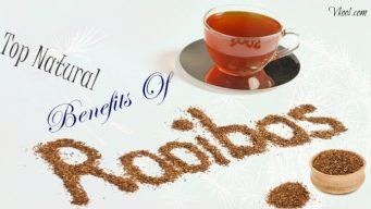 health benefits of rooibos tea
