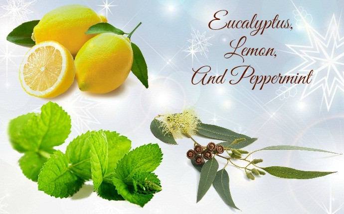 essential oils for swollen ankles - eucalyptus, lemon, and peppermint