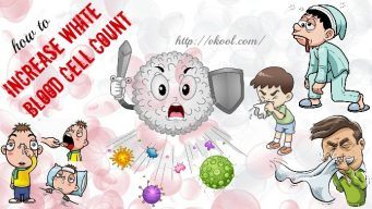 how to increase white blood cell count naturally