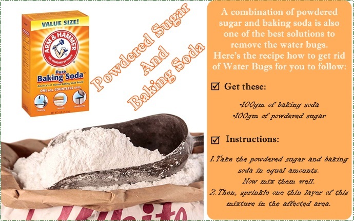 how to get rid of water bugs - powdered sugar and baking soda