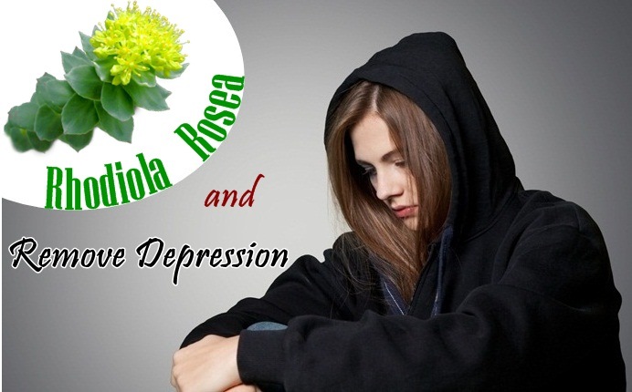 benefits of rhodiola rosea - remove depression