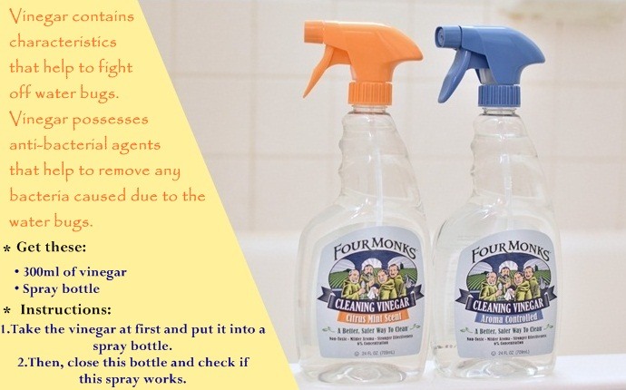 how to get rid of water bugs - vinegar spray