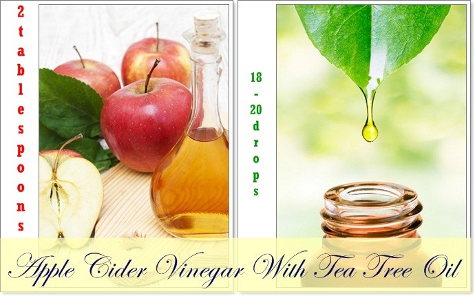 apple cider vinegar for dandruff - apple cider vinegar with tea tree oil