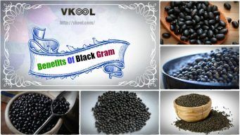 benefits of black gram