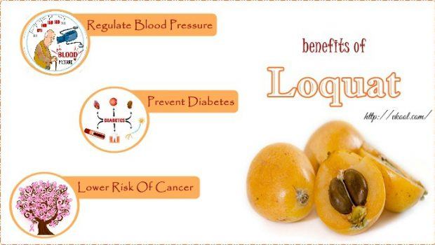 benefits of Loquat leaves