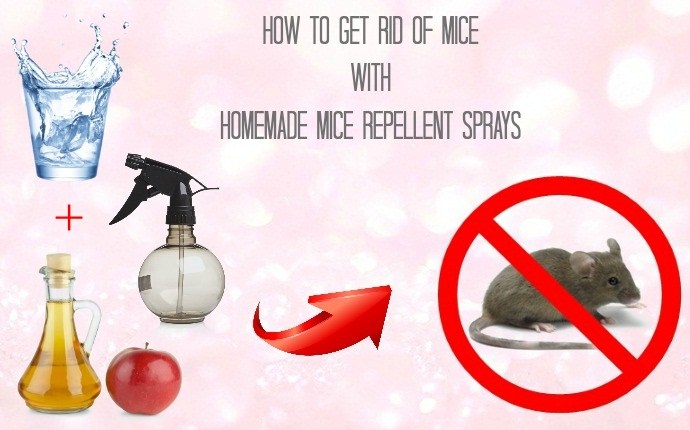 homemade mice repellent sprays