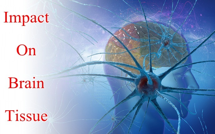 effects of stress - impact on brain tissue