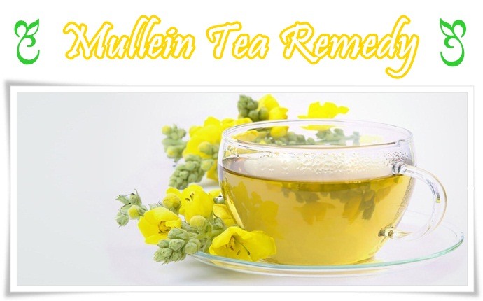 home remedies for head cold - mullein tea remedy