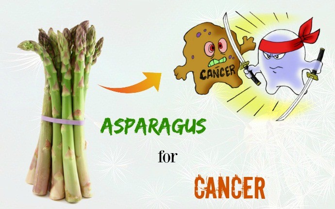 anti-cancer foods - asparagus