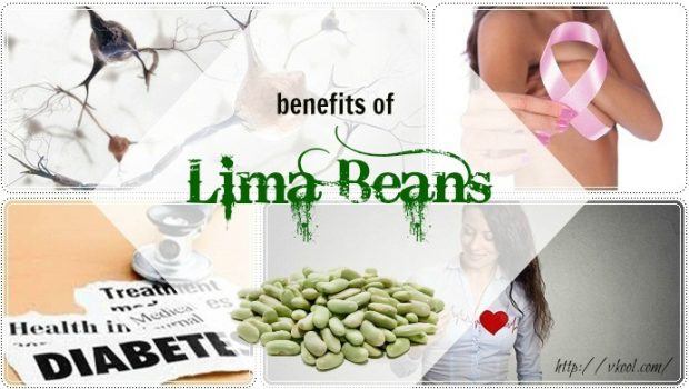 benefits of Lima beans while pregnant