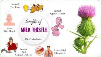 health benefits of milk thistle