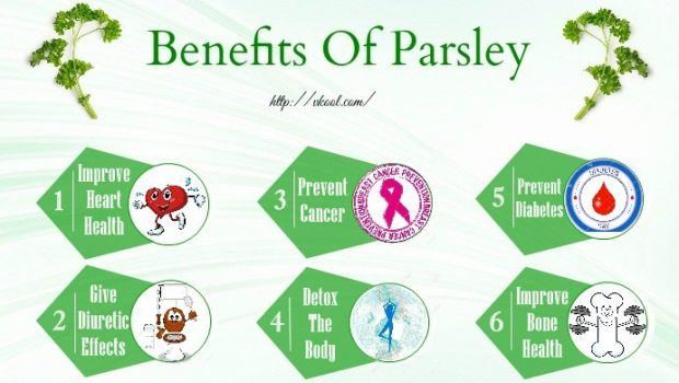 health benefits of parsley