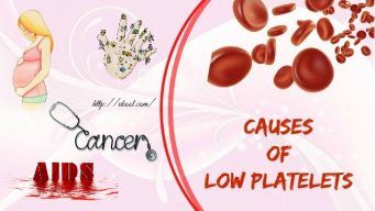 causes of low platelets in adults