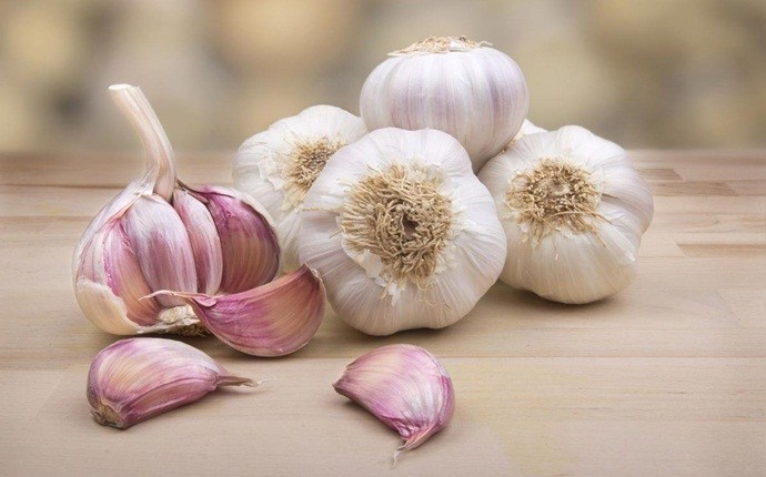 garlic for ear infection -garlic only