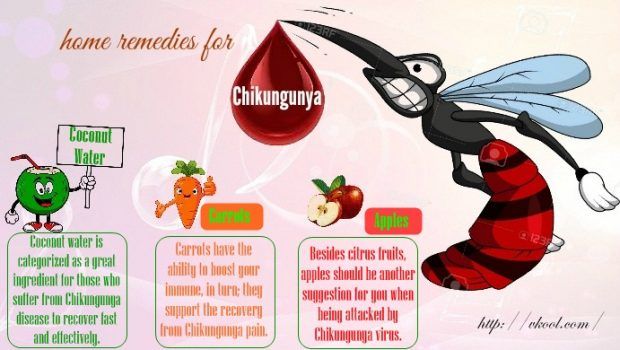 natural home remedies for chikungunya not many people know