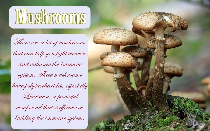 anti-cancer foods - mushrooms