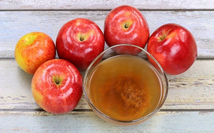 treatment for metabolic syndrome - apple cider vinegar