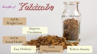 health benefits of yohimbe