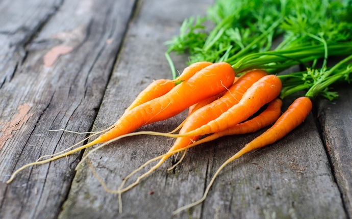 first foods for baby - carrots